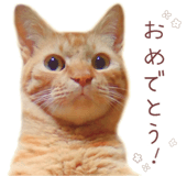842990657