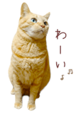 842990660