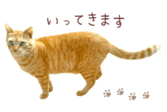 842990661