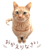 842990662