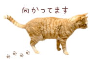 842990663