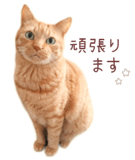 842990665