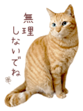 842990667