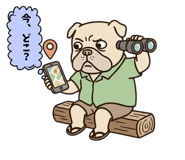 842991023