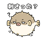 842992065