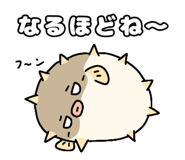 842992068