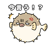 842992072