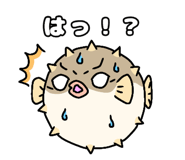 842992081