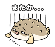 842992086