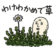 842992138