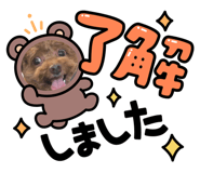 842992267