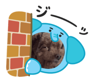 842992269