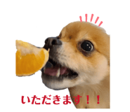 842993507