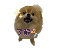 842993514