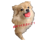 842993517