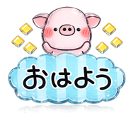 842993537
