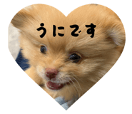 842994090