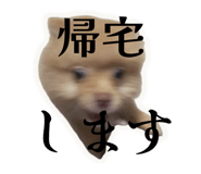 842994093