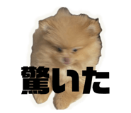 842994097
