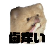 842994098