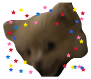 842994108