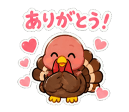 842994922