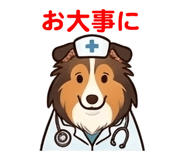 842995657