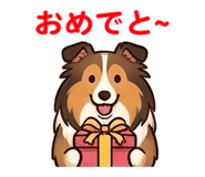 842995658