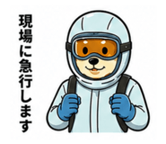 842995916