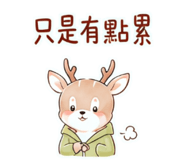 842995941