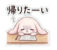 842997116