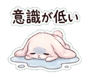 842997117