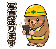 842997135