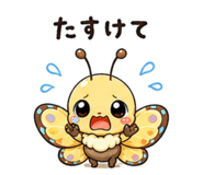 842997251