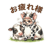 842997378