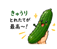 842997458