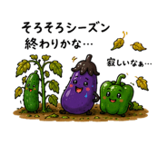 842997469