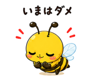842997993
