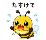 842997995