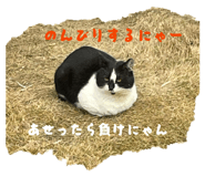 842998369