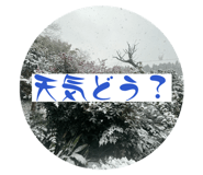 842998371