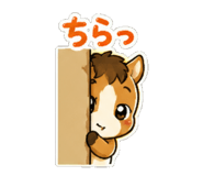 842998440