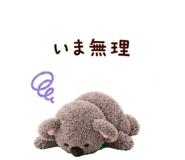 842998499