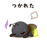 842998558