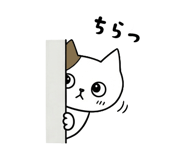 842998930