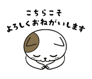 842998938