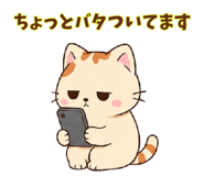 842999270