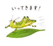 842999468