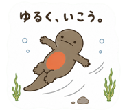 842999504