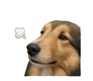 842999538